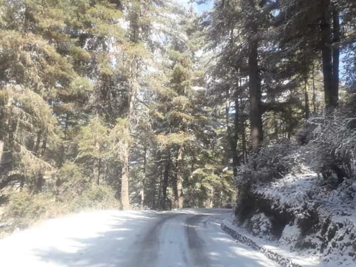 Gangtey Gonpa Odiyana Hotel מראה חיצוני תמונה